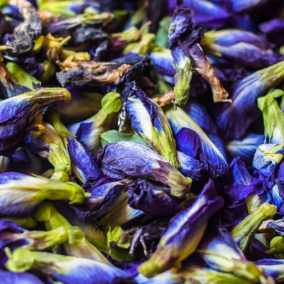 Butterfly Pea Flower Tea